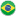 brazilian flag